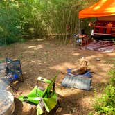 Review photo of Tomahawk Campground by Steve V., June 16, 2019