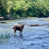 Review photo of Tomahawk Campground by Steve V., June 16, 2019