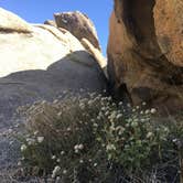 Review photo of Alabama Hills Recreation Area by Steve & Ashley  G., May 28, 2019