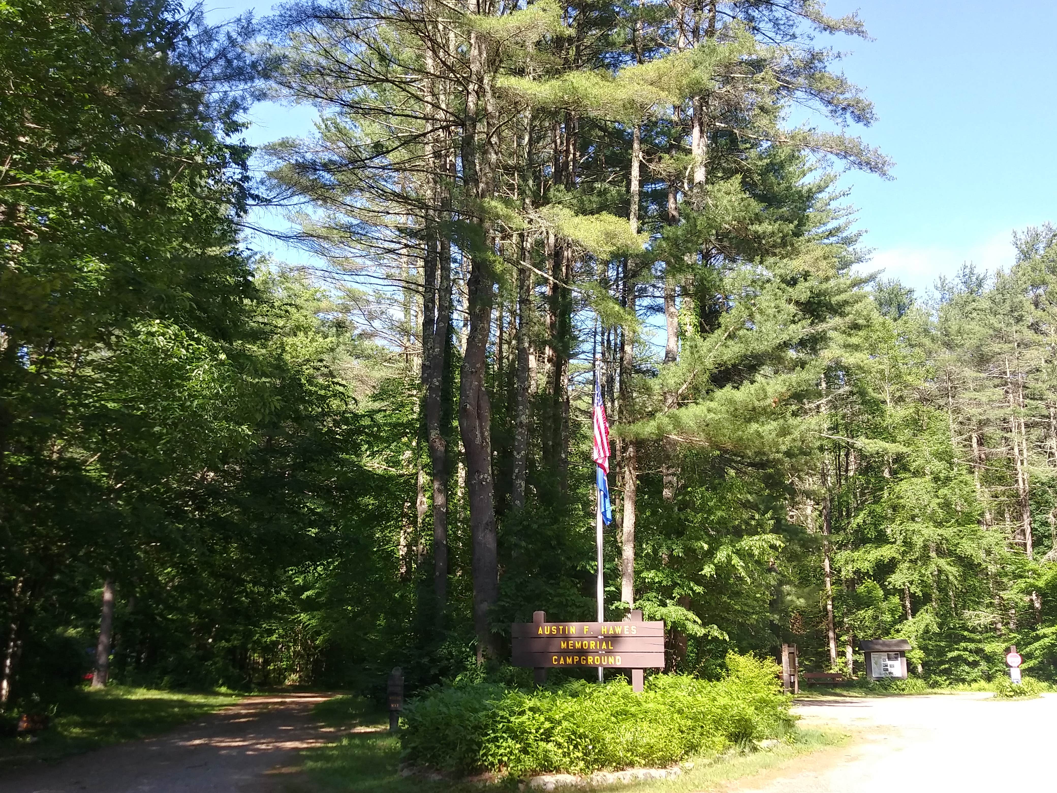 Camper submitted image from Austin Hawes Memorial - American Legion State Forest - 2