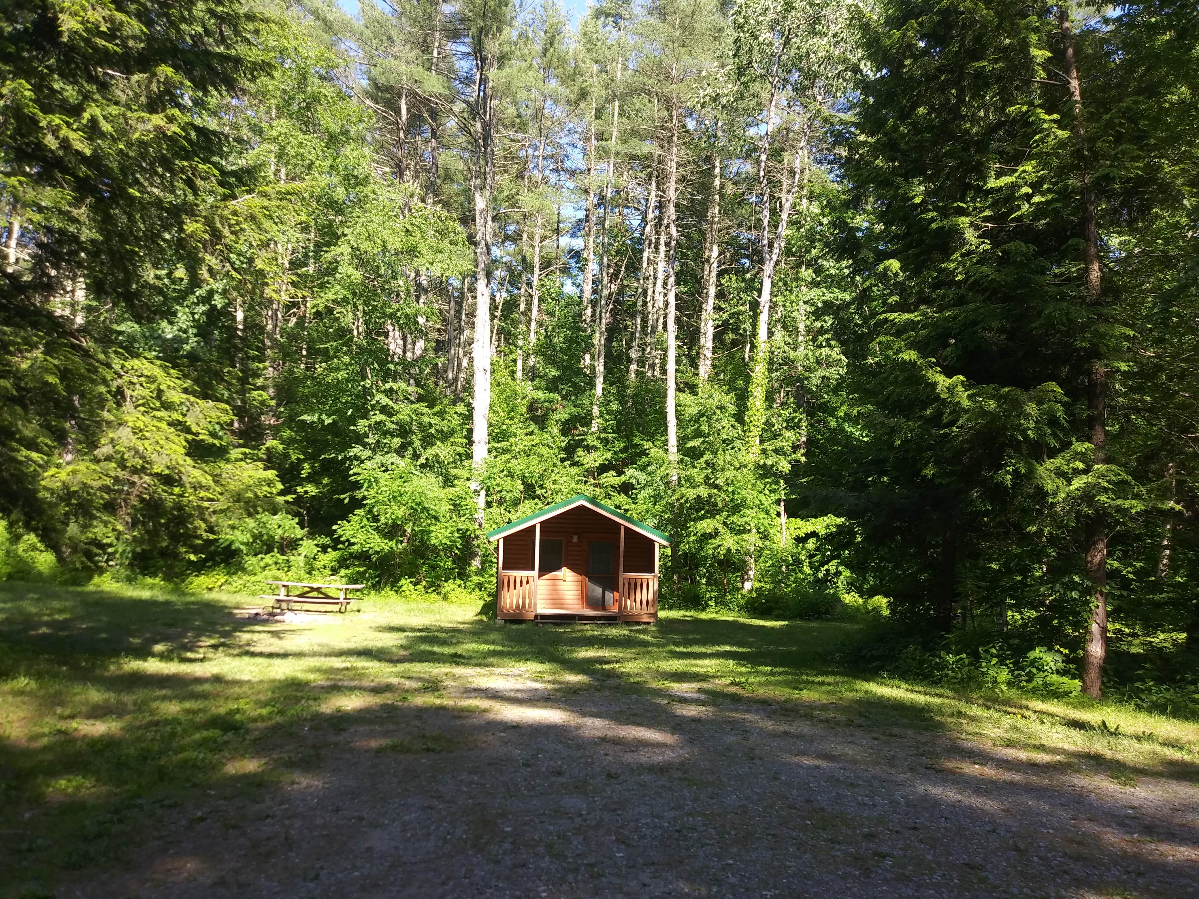 Camper submitted image from Austin Hawes Memorial - American Legion State Forest - 4