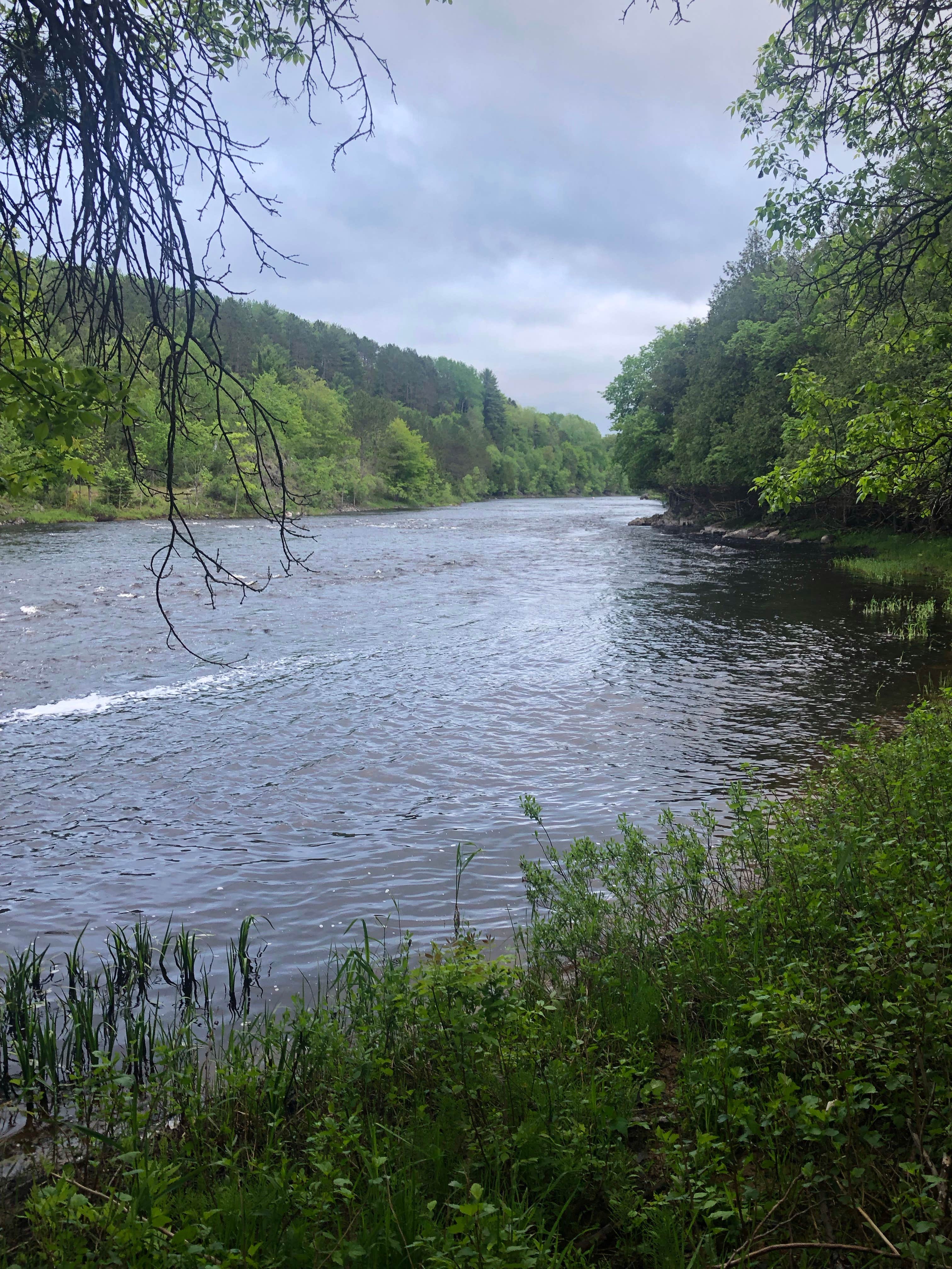 Camper submitted image from Paint River Hills Campground - 4