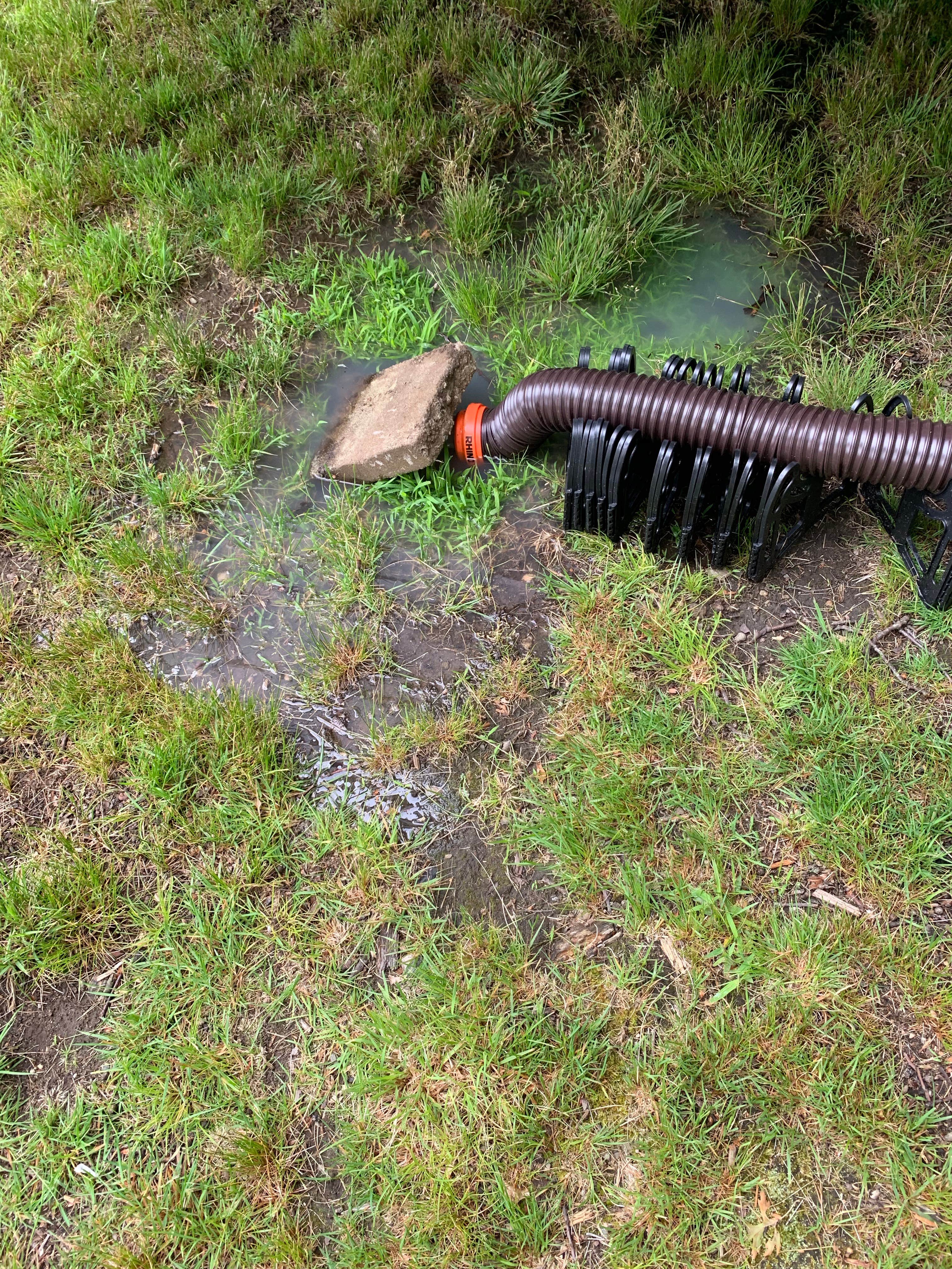Sewer overflowed