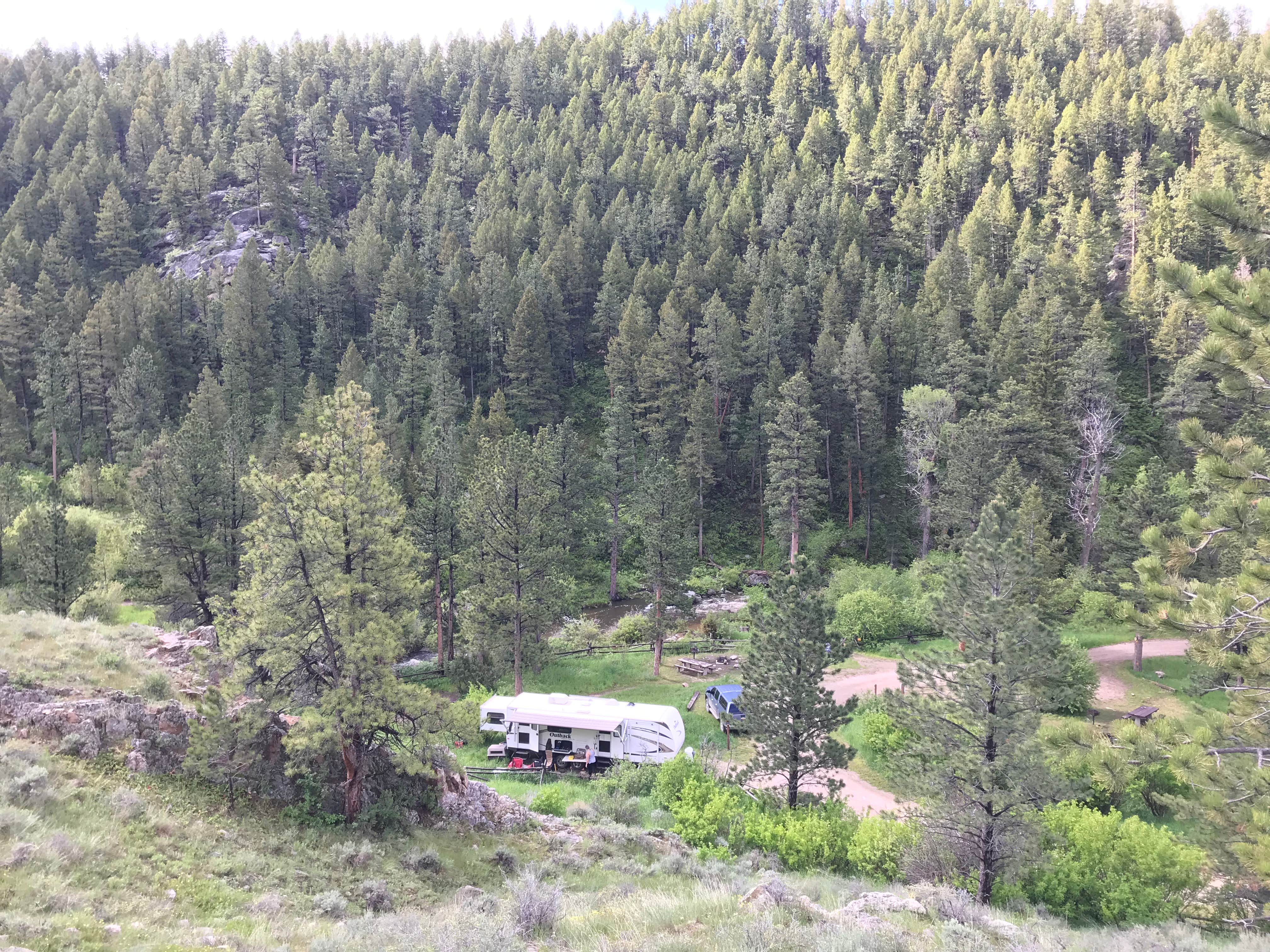 Camper submitted image from Curtis Gulch Campground — Medicine Bow Routt N Fs & Thunder Basin Ng - 2