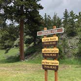 Review photo of Curtis Gulch Campground — Medicine Bow Routt N Fs & Thunder Basin Ng by Stephanie T., June 17, 2019