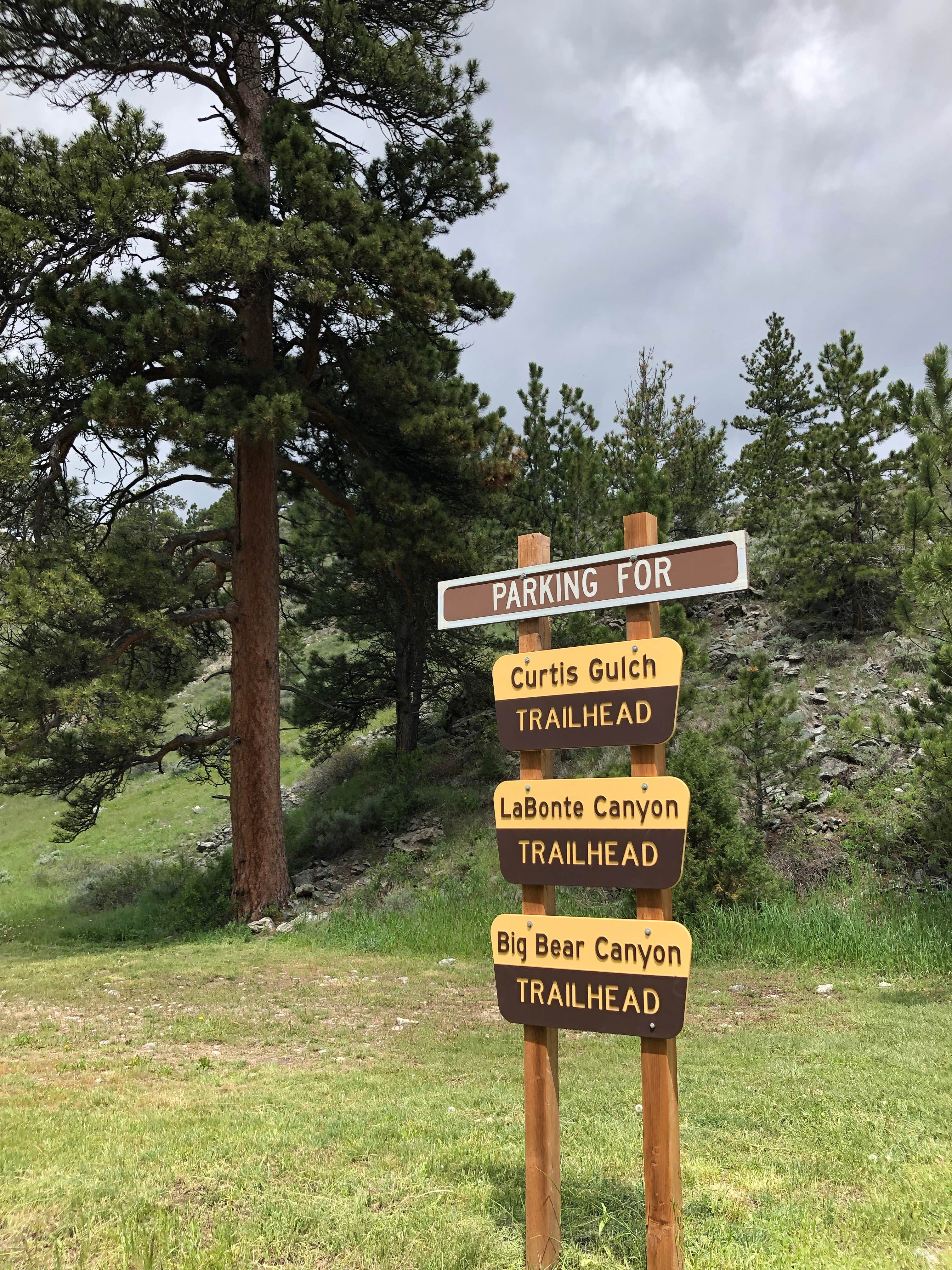 Camper submitted image from Curtis Gulch Campground — Medicine Bow Routt N Fs & Thunder Basin Ng - 5