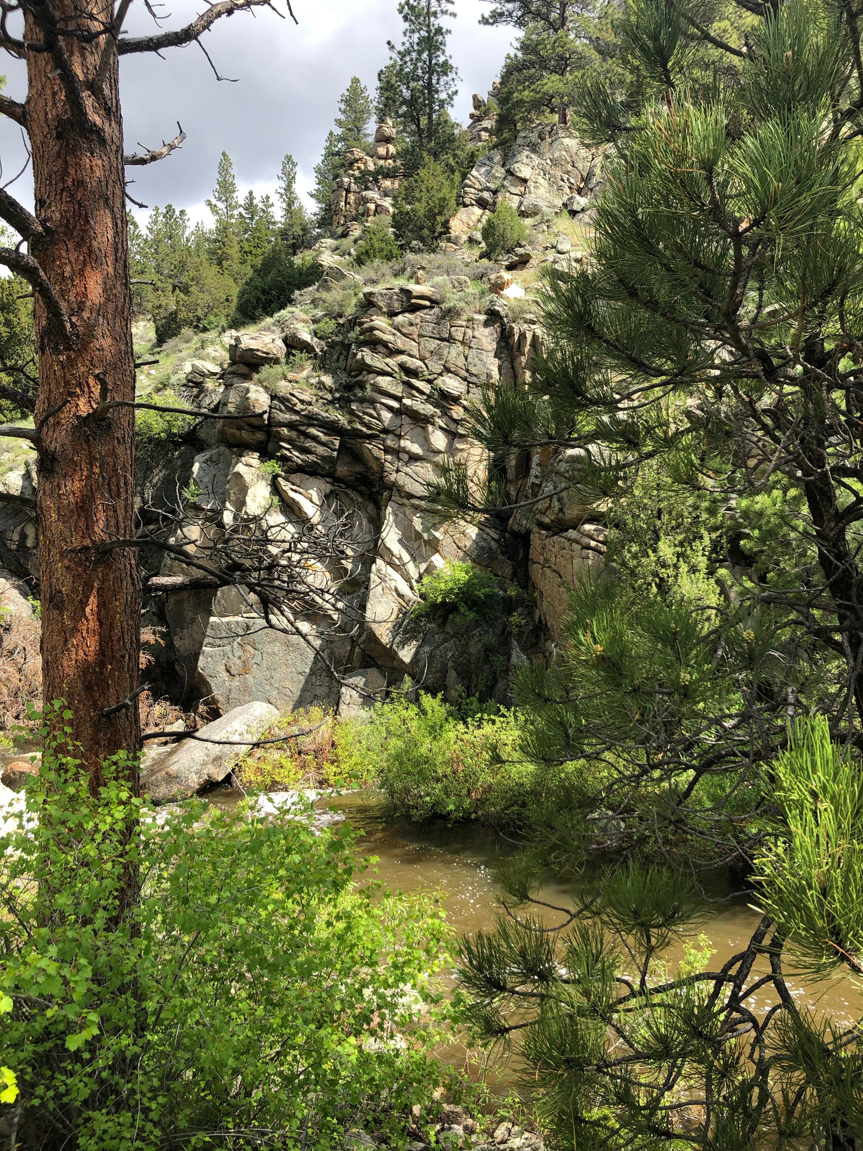 Camper submitted image from Curtis Gulch Campground — Medicine Bow Routt N Fs & Thunder Basin Ng - 3