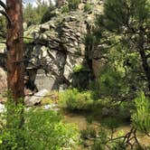 Review photo of Curtis Gulch by Stephanie T., June 17, 2019