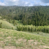 Review photo of Curtis Canyon Campground by Brittany H., June 17, 2019