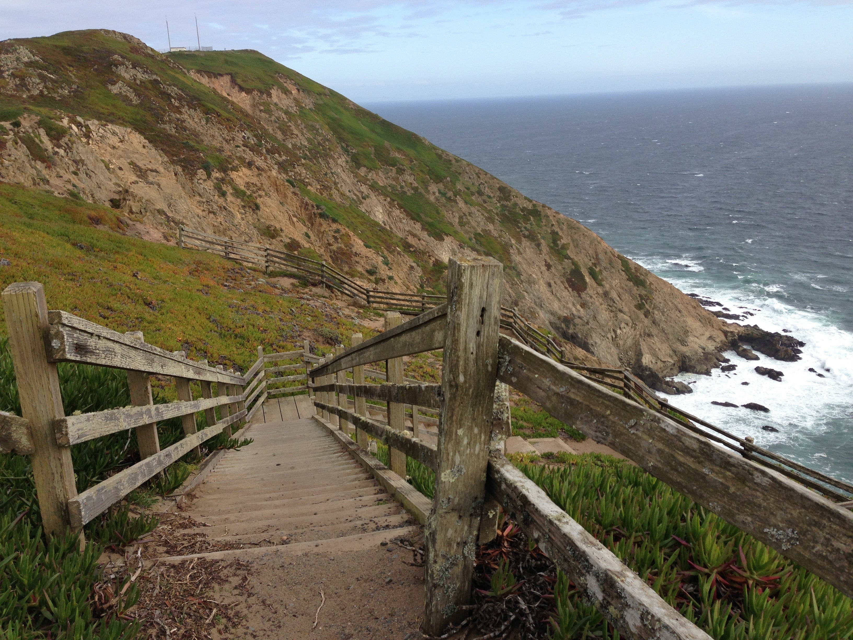 Camper submitted image from Glen Campground — Point Reyes National Seashore - 1