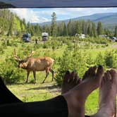 Review photo of Timber Creek Campground — Rocky Mountain National Park by Brittany H., June 17, 2019