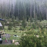 Review photo of Timber Creek Campground — Rocky Mountain National Park by Brittany H., June 17, 2019