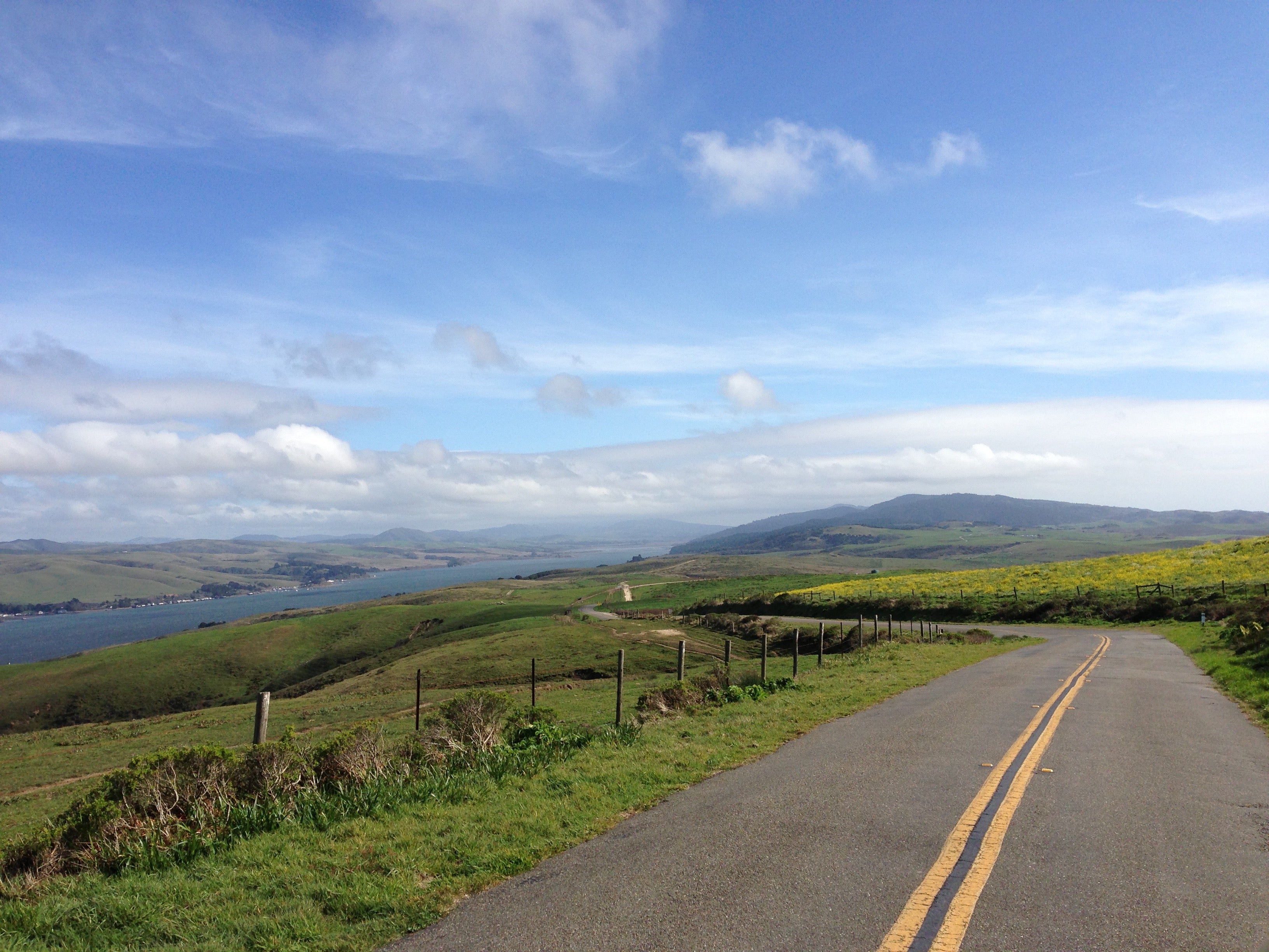 Camper submitted image from Glen Campground — Point Reyes National Seashore - 3
