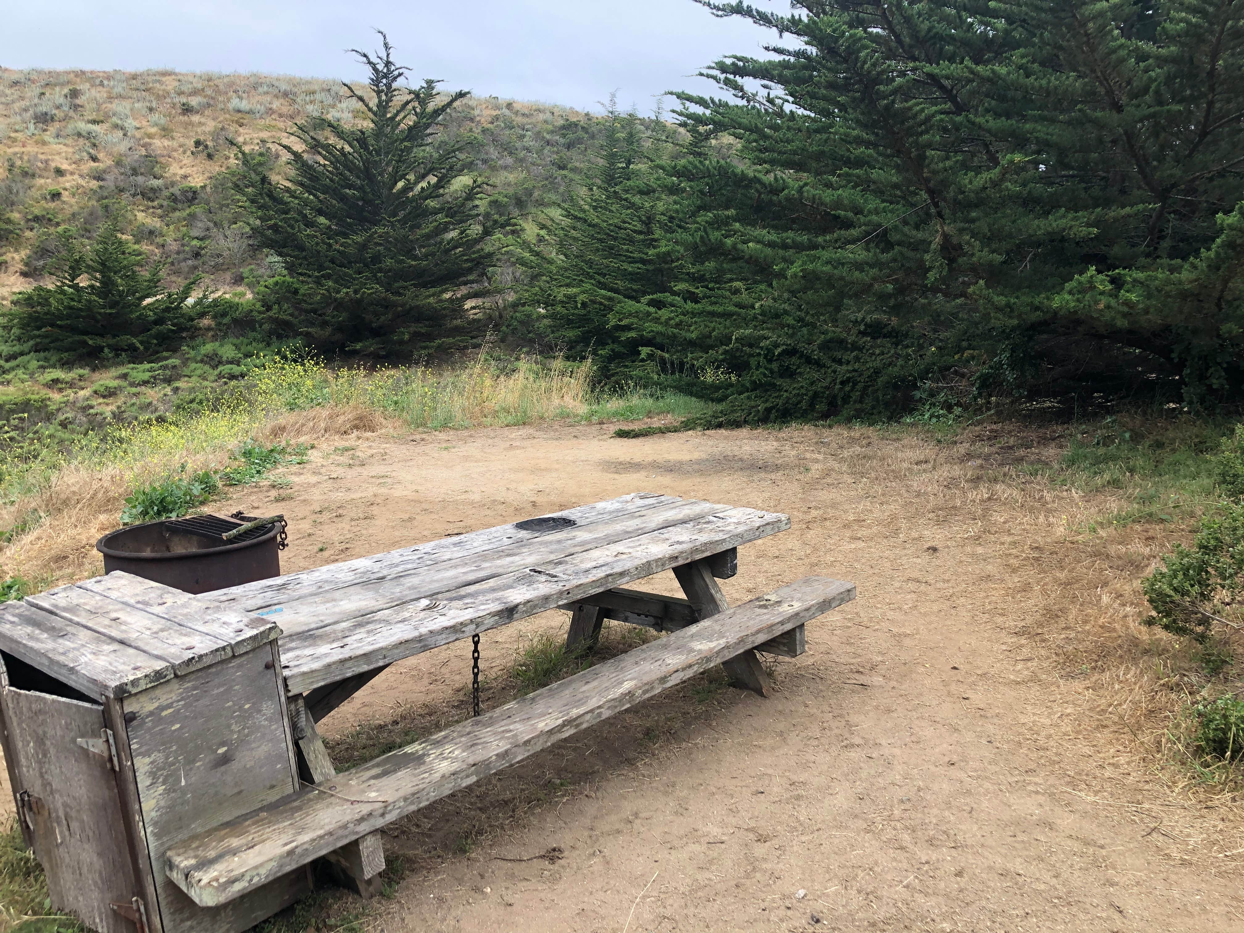 Camper-submitted photo at Sunset State Beach near Moss Landing, CA