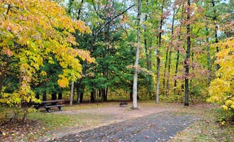 Camping near Coolwater on the Pine River Campground: Sand Lake Campground - Manistee National Forest, Wellston, Michigan
