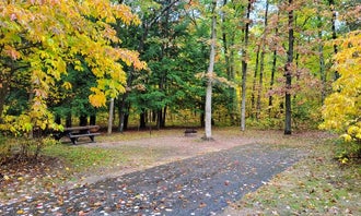 Camping near Pine Creek Lodge: Sand Lake Campground - Manistee National Forest, Wellston, Michigan