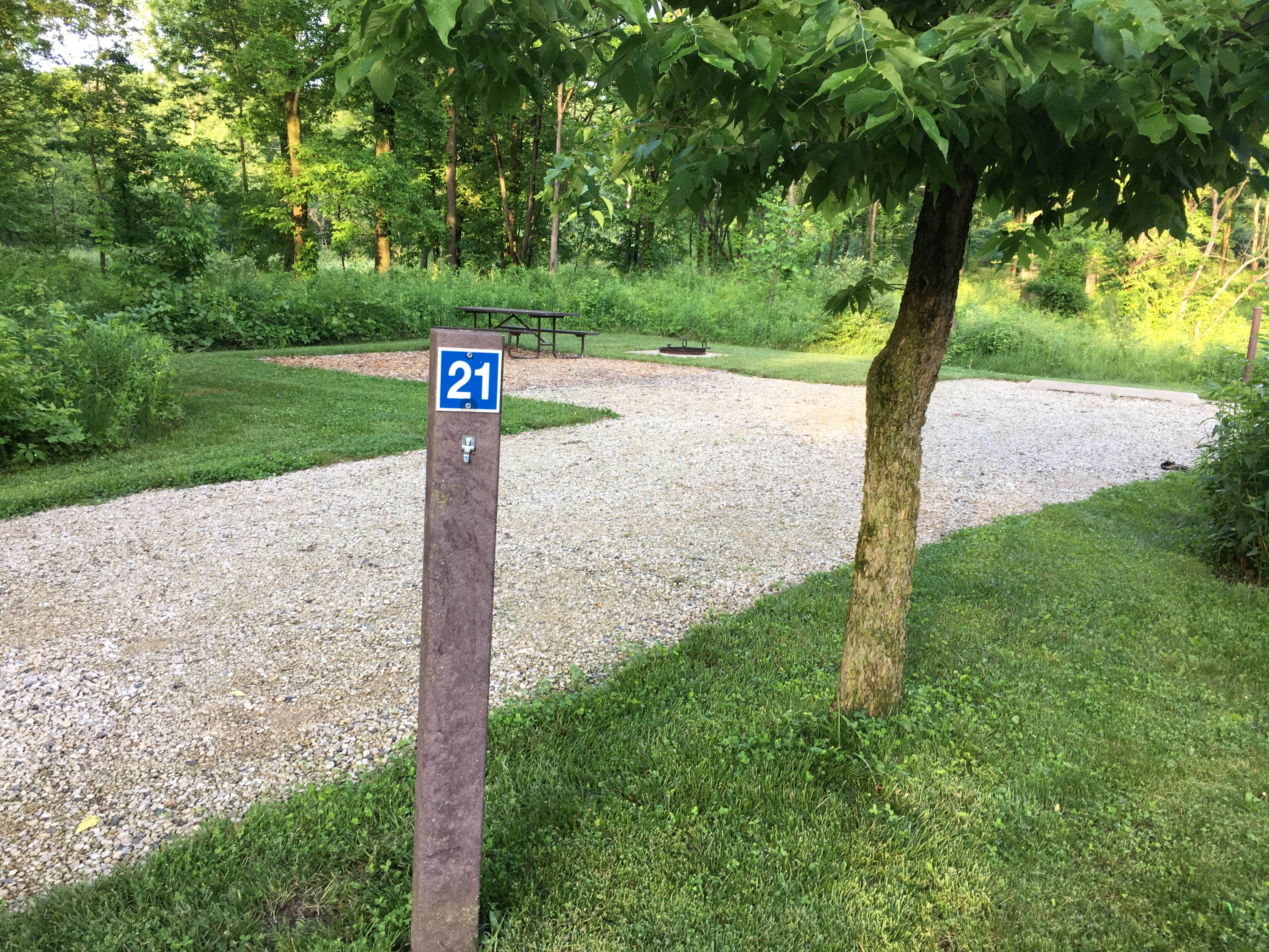 Camper submitted image from Blackwell Family Campground - 2
