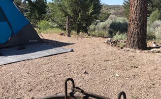 Alisa B.'s photo at North Campground — Echo Canyon State Park near Panaca, NV