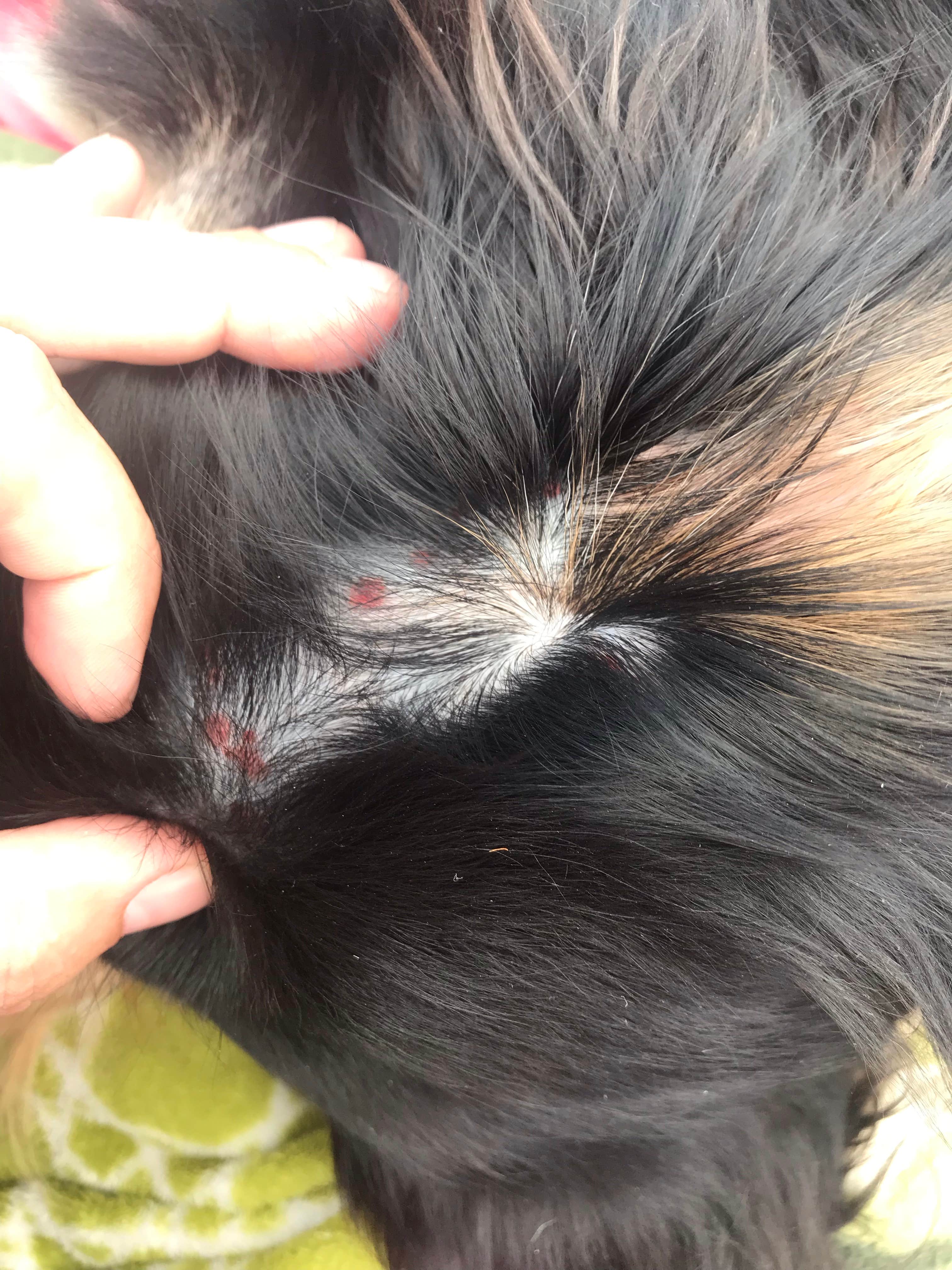 Camper-submitted photo at North Campground — Echo Canyon State Park near Panaca, NV