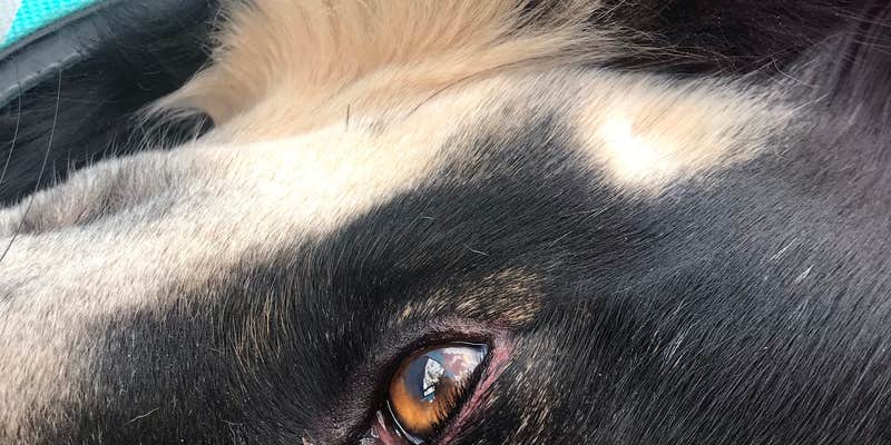 Camper submitted image from North Campground — Echo Canyon State Park