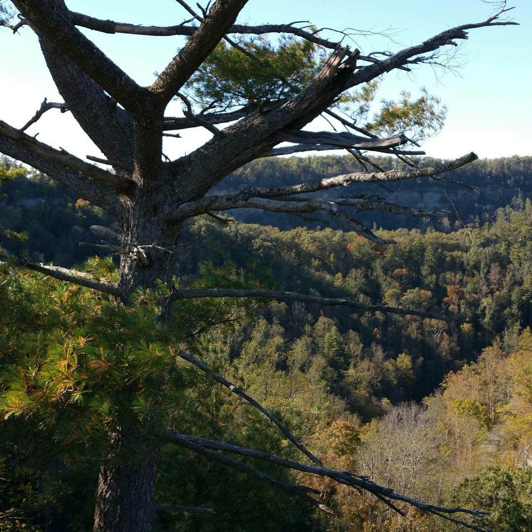 Camper-submitted photo at Maple Springs Campground — Mammoth Cave National Park near Horse Cave, KY