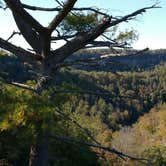 Review photo of Maple Springs Campground — Mammoth Cave National Park by Leah P., September 1, 2016