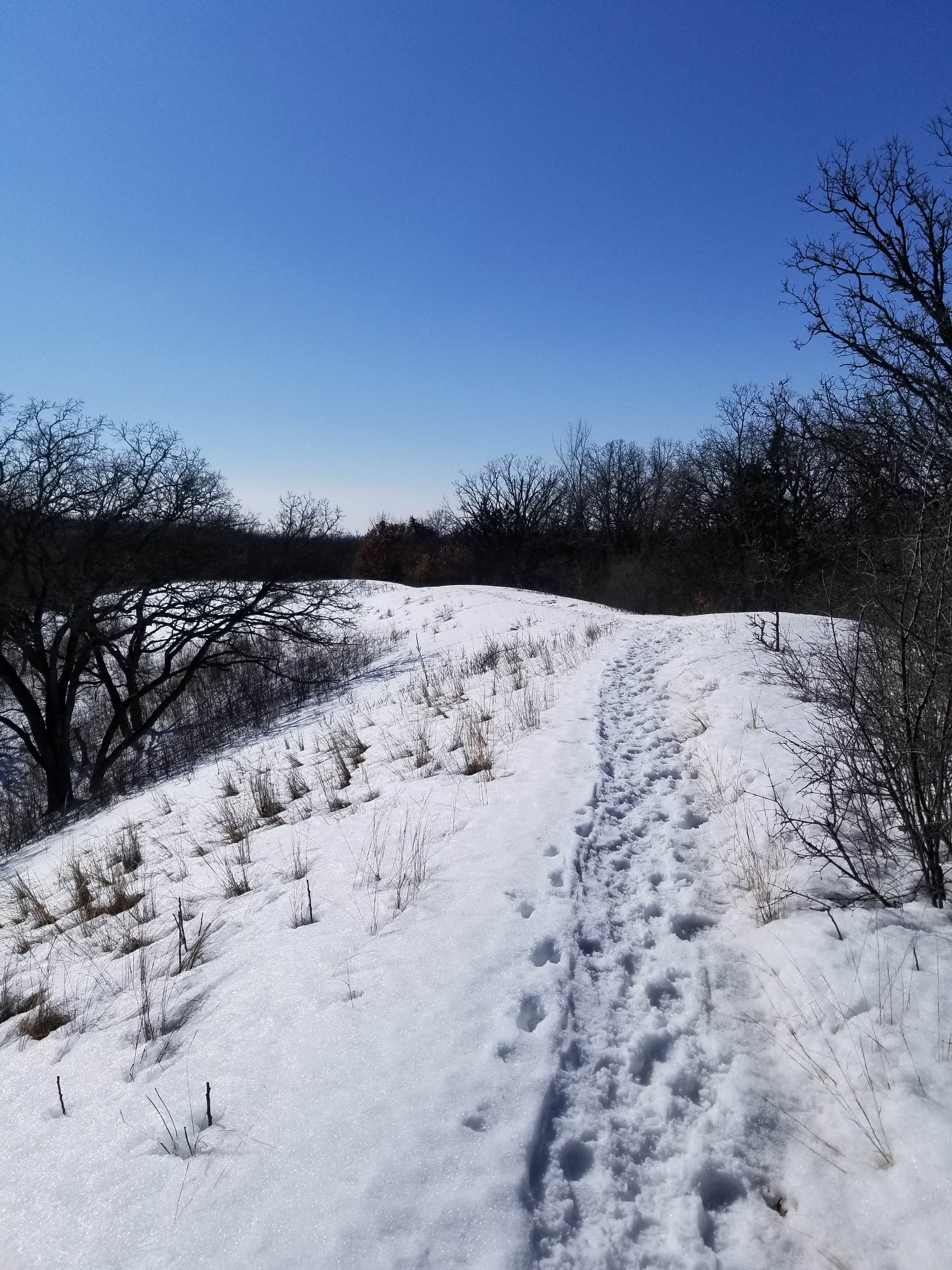 Camper submitted image from Camber Cabins — Sibley State Park - 2