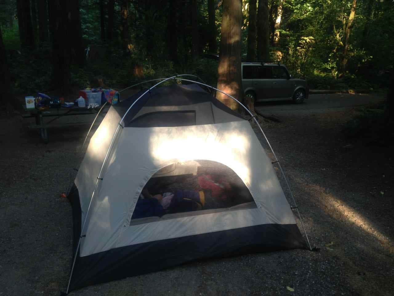 Camper submitted image from Rasar State Park Campground - 5