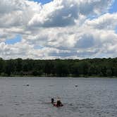 Review photo of Gifford Pinchot State Park Campground by Cathy A., June 17, 2019