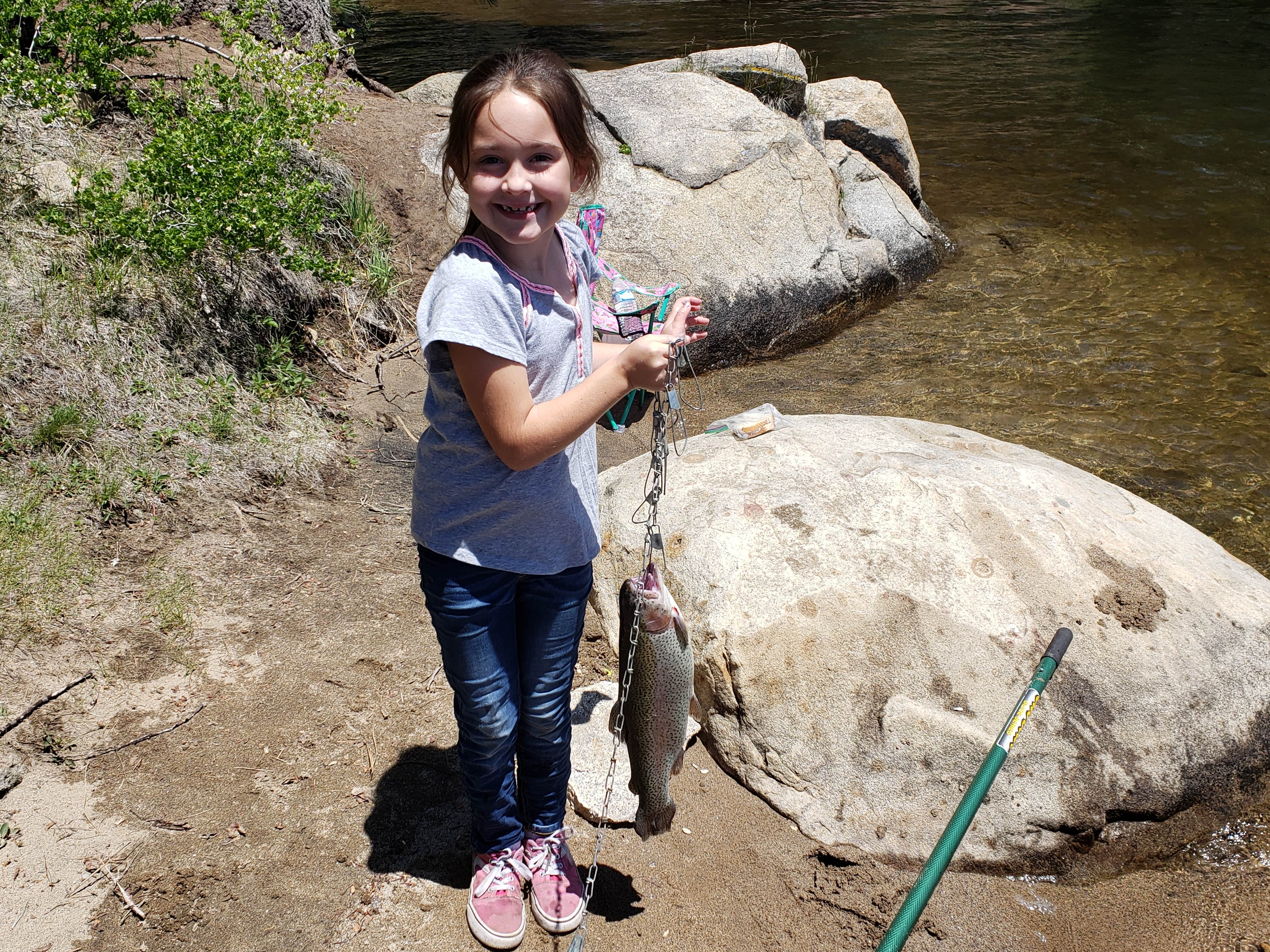 Camper submitted image from Kinnikinnick - Sierra NF - 4