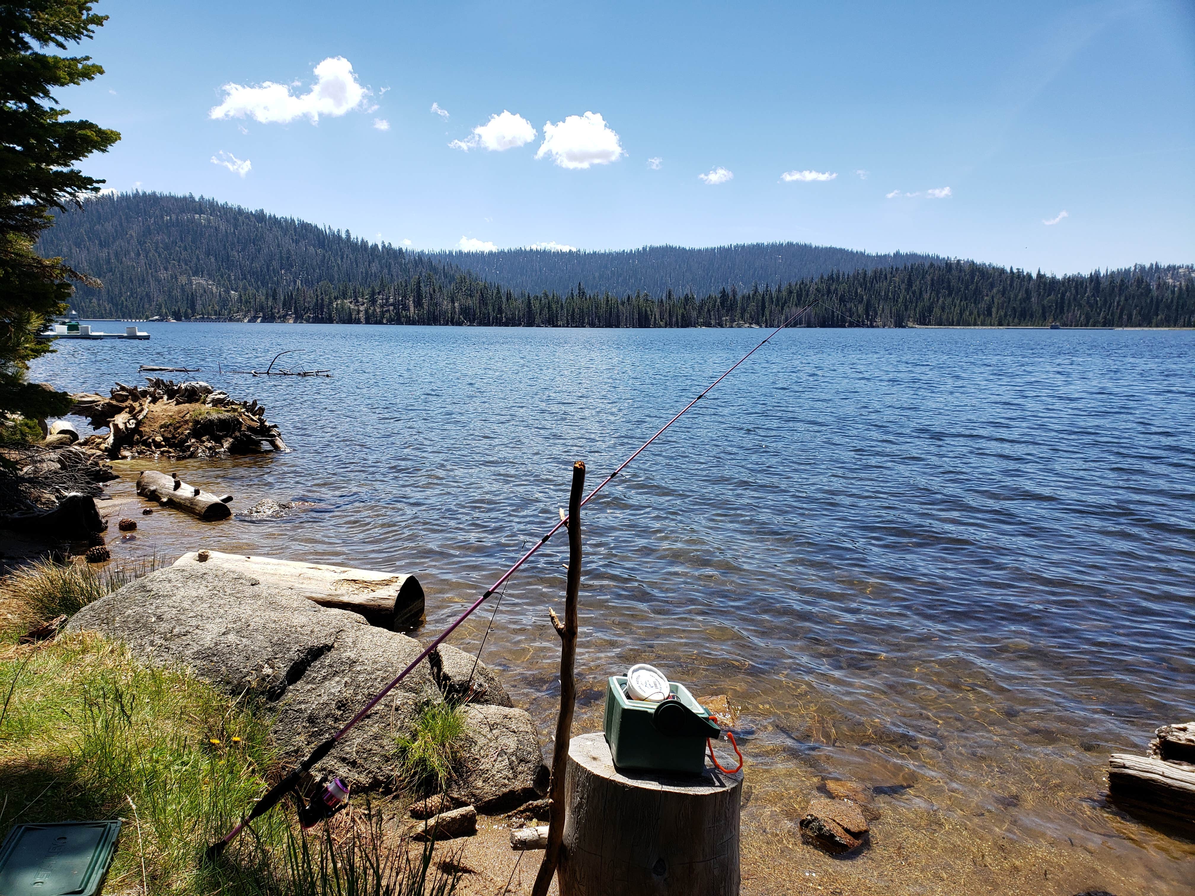 Camper submitted image from Kinnikinnick - Sierra NF - 2