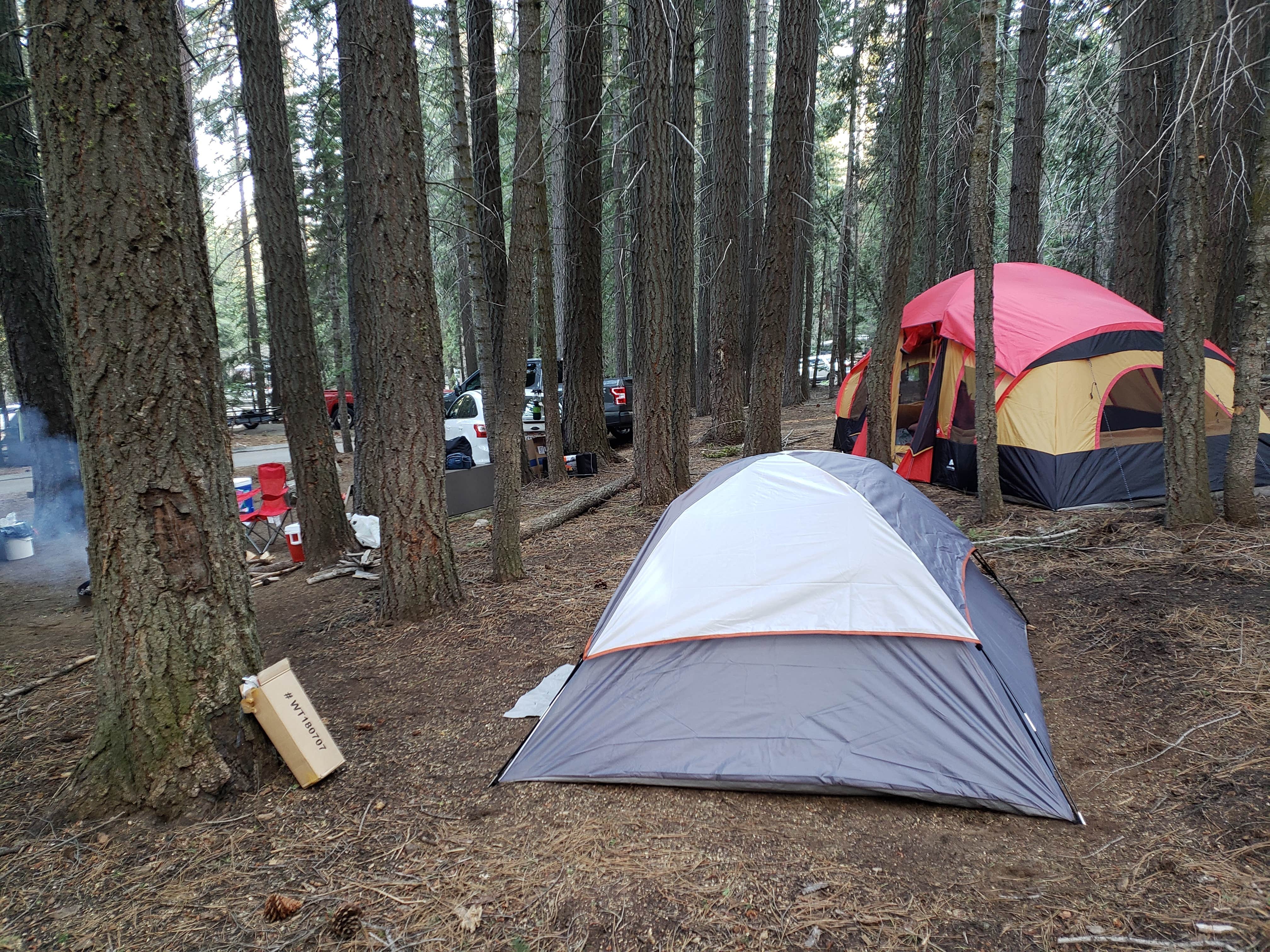 Camper submitted image from Kinnikinnick - Sierra NF - 5