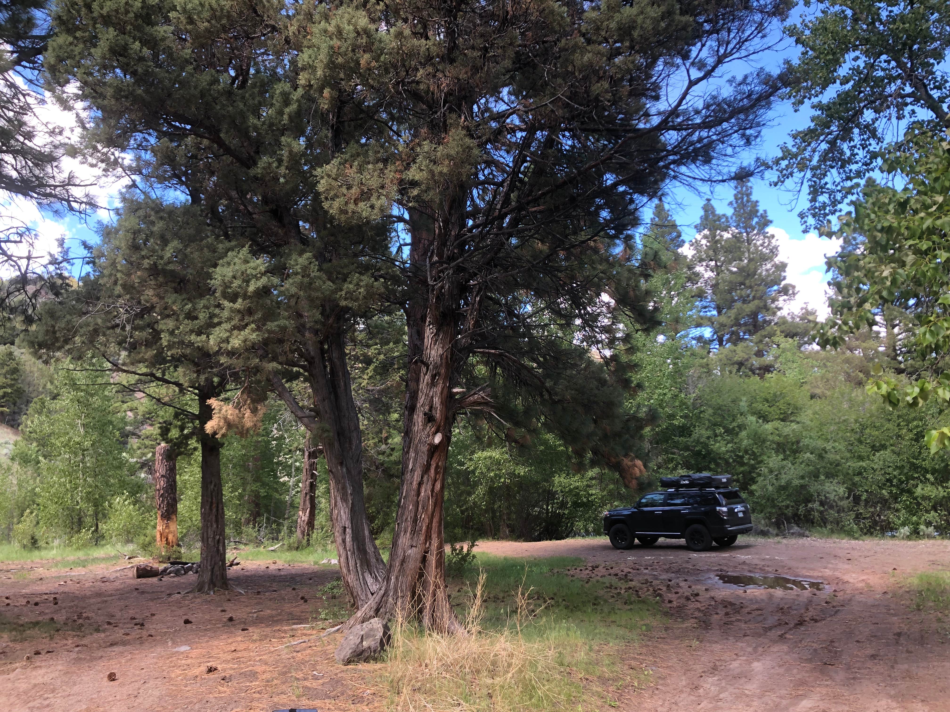 Camper submitted image from Marster Spring Campground - 3