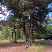 Review photo of Marster Spring Campground by Megan B., June 17, 2019
