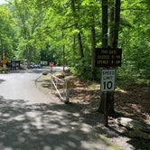 Review photo of Elizabeth Furnace Campground by Chris C., June 17, 2019