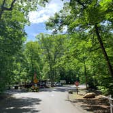 Review photo of Elizabeth Furnace Campground by Chris C., June 17, 2019