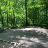 Review photo of Elizabeth Furnace Campground by Chris C., June 17, 2019