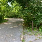 Review photo of Elizabeth Furnace Campground by Chris C., June 17, 2019