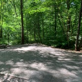 Review photo of Elizabeth Furnace Campground by Chris C., June 17, 2019