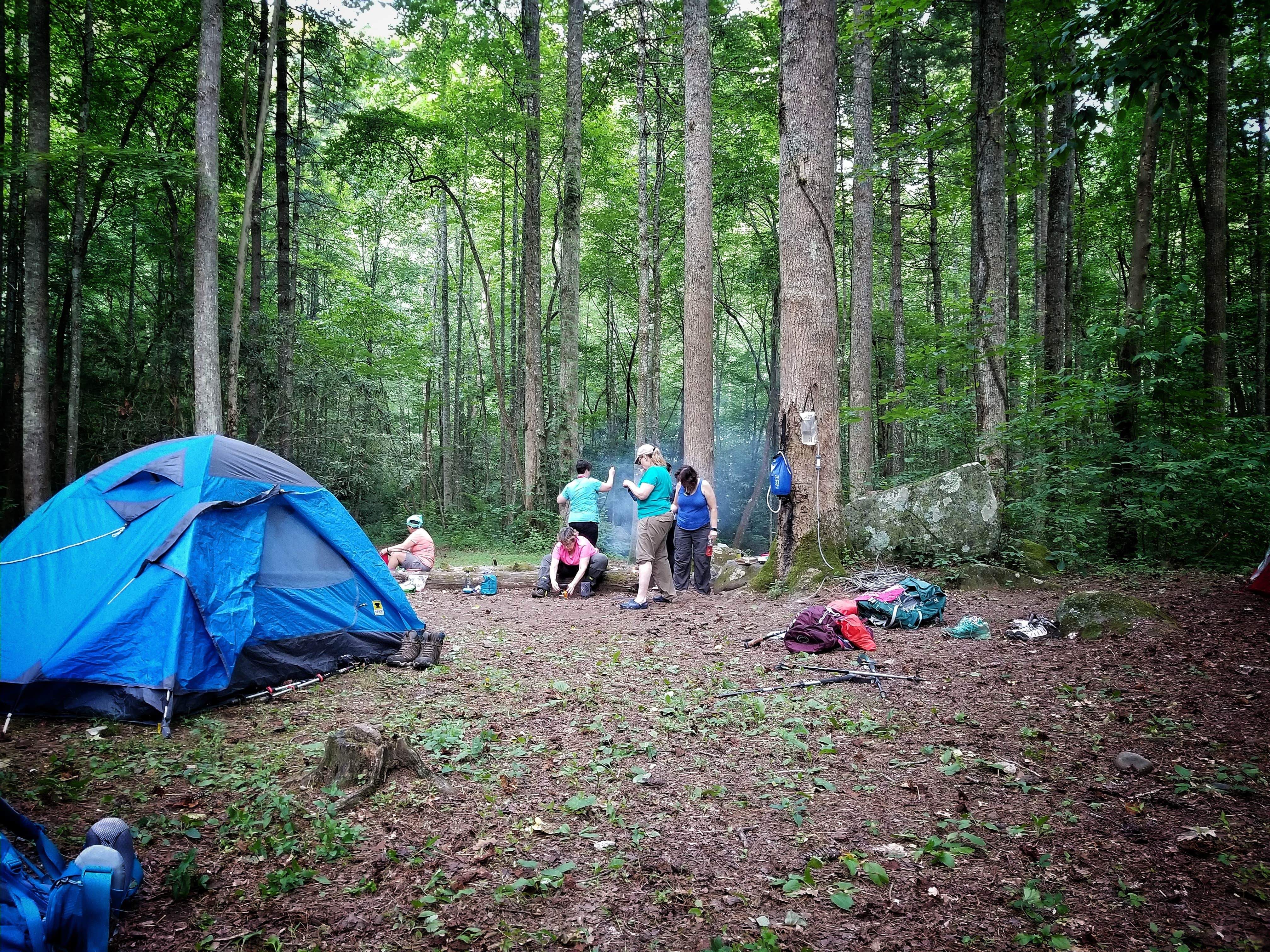 Christina  Z.'s photo of tent camping at 71 C.c.c near Bryson City, NC