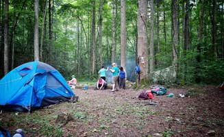 Christina  Z.'s photo at 71 C.c.c near Great Smoky Mountains National Park
