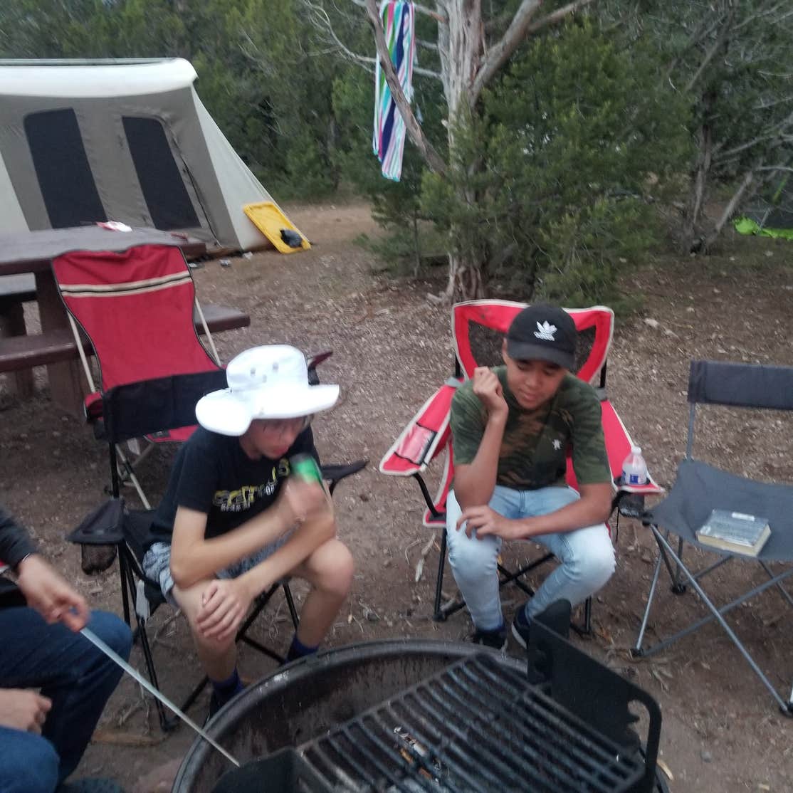 Cedar Springs Campground Camping | The Dyrt