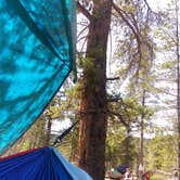 Review photo of Guanella Pass by Sarah M., June 17, 2019