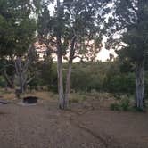 Review photo of McPhee Campground by Sarah S., August 31, 2015