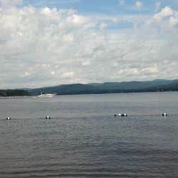 View All