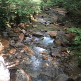 Review photo of Moose Hillock Camping Resort by Rick C., June 17, 2019