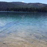 Review photo of Koocanusa Resort and Marina by Darrin L., August 31, 2016