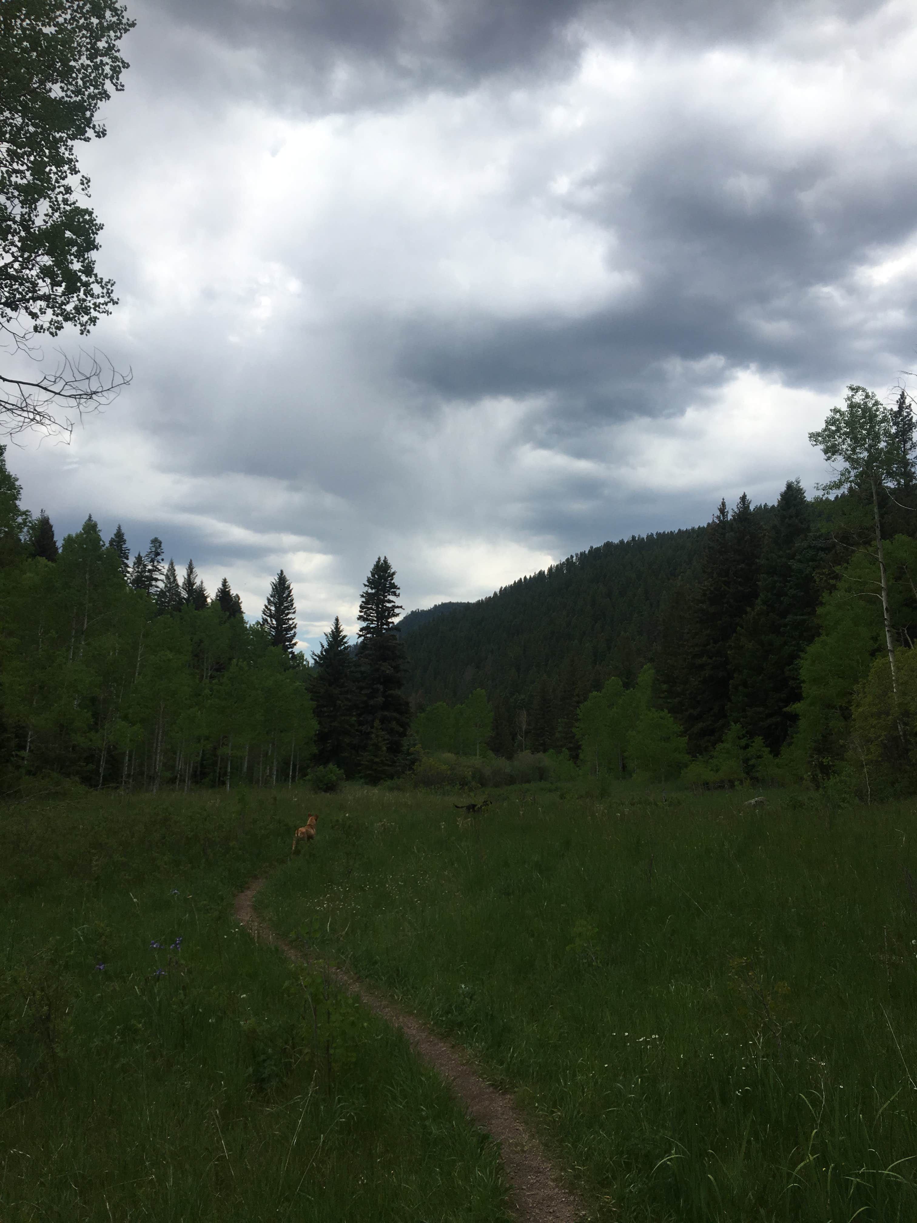 Nature