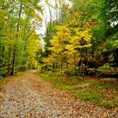 Review photo of Elkmont Campground — Great Smoky Mountains National Park by Myron C., June 17, 2019