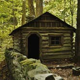 Review photo of Elkmont Campground — Great Smoky Mountains National Park by Myron C., June 17, 2019